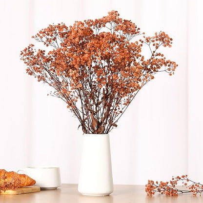 Babys Breath Dried Flowers Bouquet-17'' 4500+ Ivory Dry Flowers, Natural Gypsophila Branches for Wedding, Home Table Vase Decor, DIY Wreath Floral, Fall Thanksgiving Autumn Decoration (Brown, 5oz)