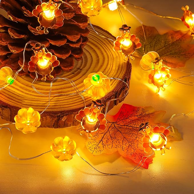 10 Ft 30 LED Thanksgiving Decorations Turkey Pumpkin String Lights, Thanksgiving Lights Decorations Battery Operated Turkey Lights Copper Wire Fairy Lights for Party Home Indoor Decor