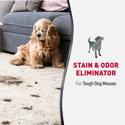 Nature’s Miracle Advanced Stain and Odor Eliminator Dog Spray, Fresh Scent, Severe Mess Enzymatic Formula For Tough Pet Messes, 32 Ounces