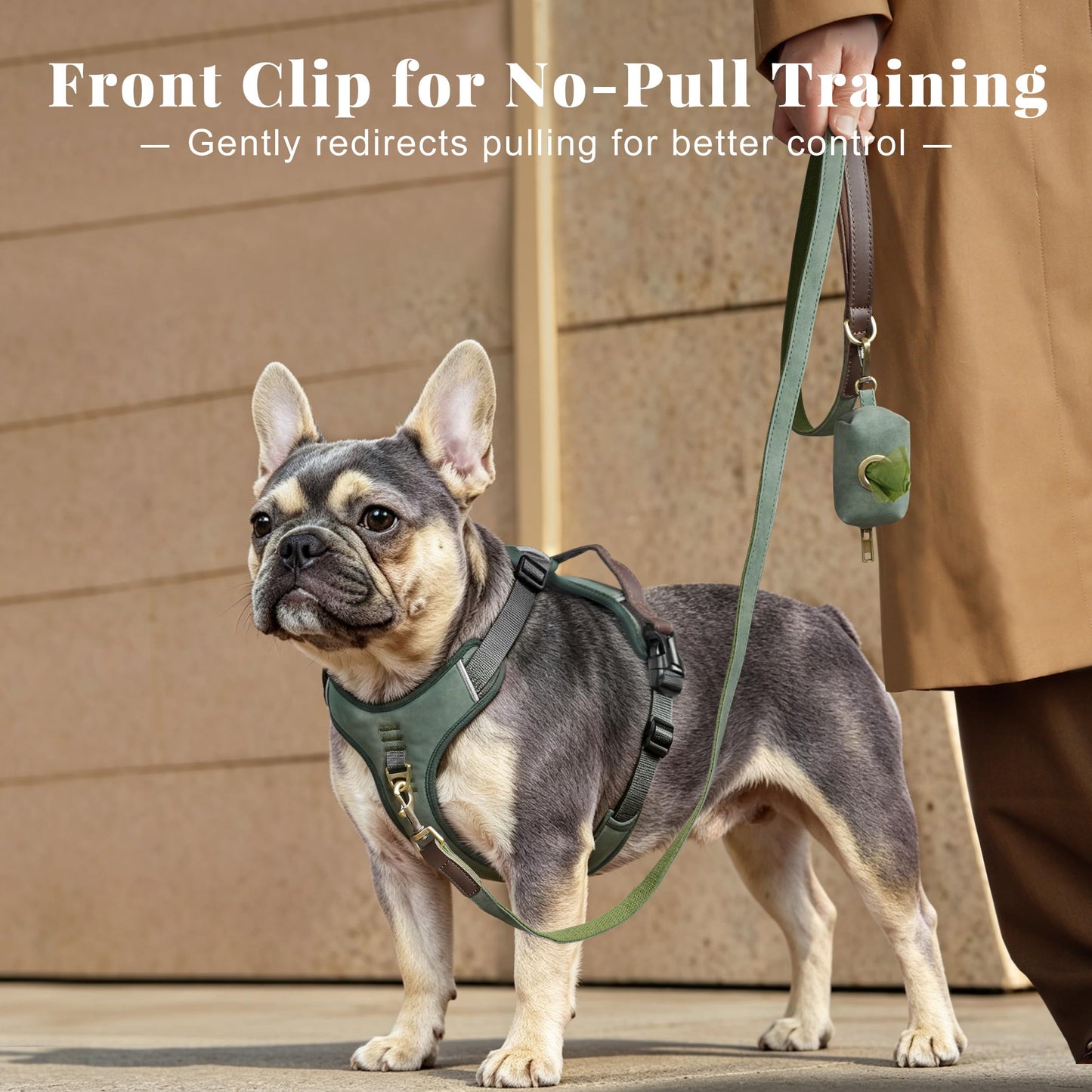 Didog No Pull Dog Harness Small Sized Dog,Classic PU Leather Vest for Small Dogs with Easy Control Handle,No Choke Front Clip,Reflective & Adjustable for Walking,Green,Chest 19-24"