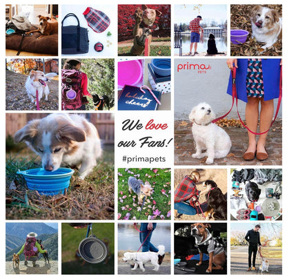 Sale Collapsible Silicone Water Travel Bowl with Clip for Dog and Cat, Portable and Durable Pop-up Feeder for Convenient On-The-go Feeding Size: Large (5 Cups) Grey