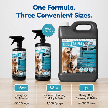 Bioclean Pet Carpet Cleaner & Deodorizer – Eliminates Pet Urine Smell, Stain & Odor Remover, No Residue, Made in USA – 32oz
