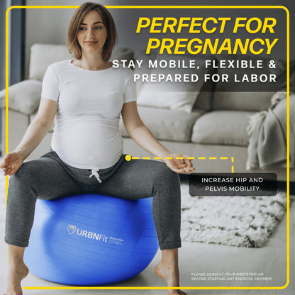 URBNFit Exercise Ball - Yoga Ball in Multiple Sizes for Yoga, Pilates, Pregnancy, Stability - Anti-Burst Swiss Balance Ball w/Quick Pump – Office Ball Chair for Home and Gym – 30 Inch - Black