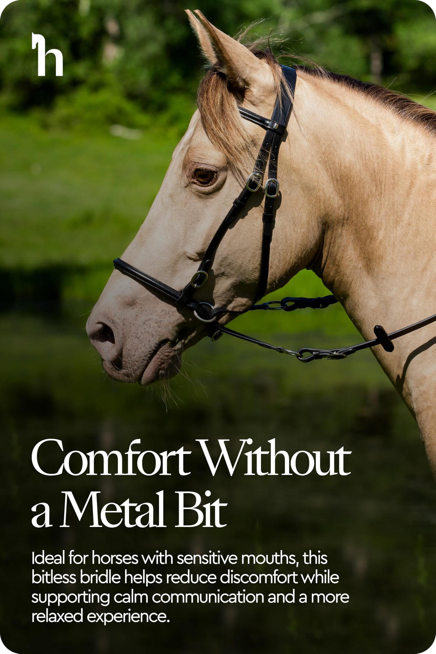 HORZE Genuine Leather Cross-Under Bitless Bridle | Web Reins Included - Black - Horse