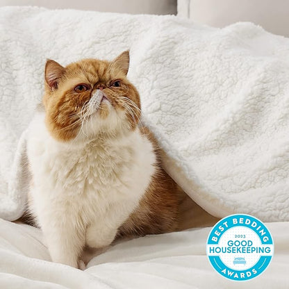 Bedsure GentleSoft Sherpa Fleece Throw Blanket for Couch - Thick and Warm, Soft Fuzzy Plush Throw Blanket for Winter, Cream, 50x60 Inches