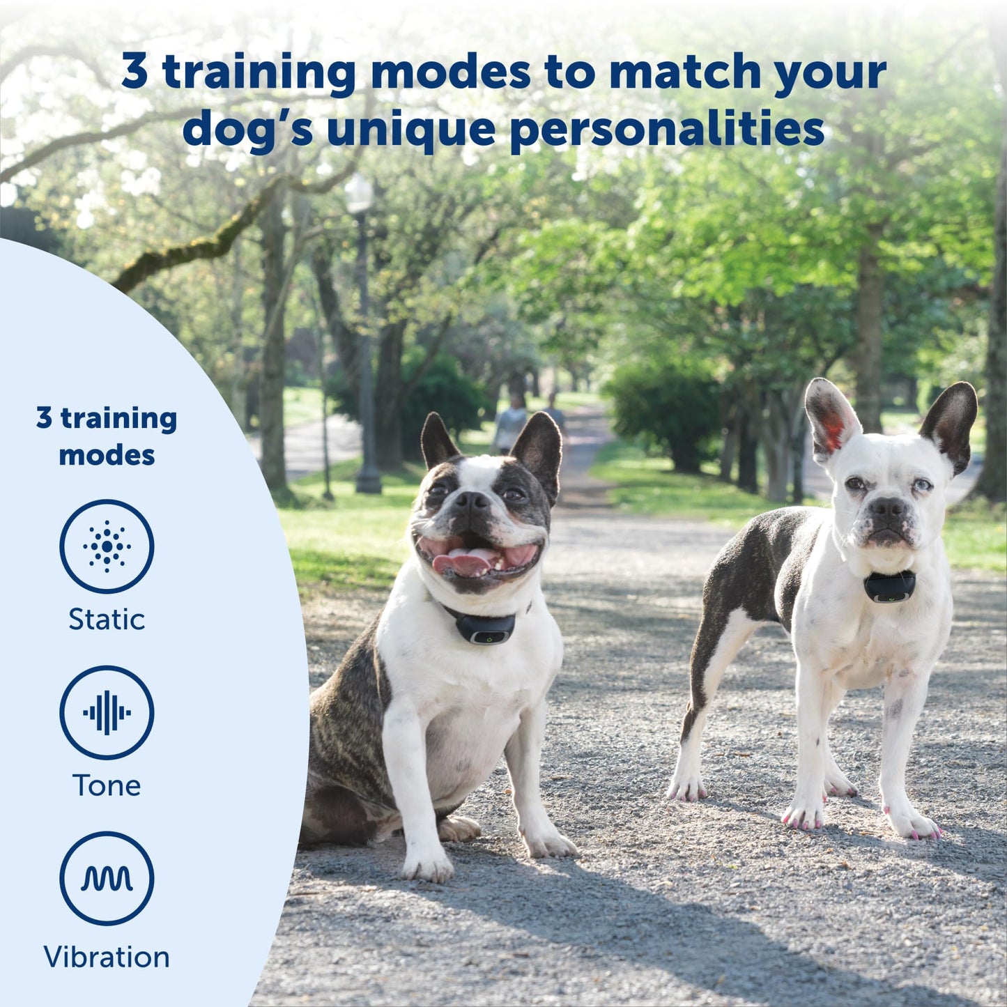 PetSafe Add-A-Dog Remote Training Collar – Smaller Version for Small or Medium Dogs – Choose from Tone, Vibration, or 15 Levels of Static Stimulation – Waterproof and Durable – Rechargeable