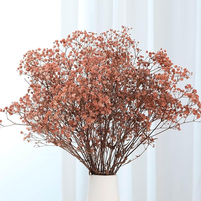 Babys Breath Dried Flowers Bouquet-17'' 2500+ Ivory Dry Flowers, Natural Gypsophila Branches for Wedding, Home Table Vase Decor, DIY Wreath Floral, Fall Thanksgiving Autumn Decoration (Brown, 3oz)