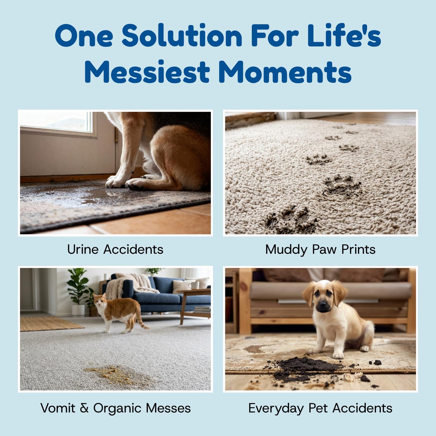 Bioclean Pet Carpet Cleaner & Deodorizer – Eliminates Pet Urine Smell, Stain & Odor Remover, No Residue, Made in USA – 32oz
