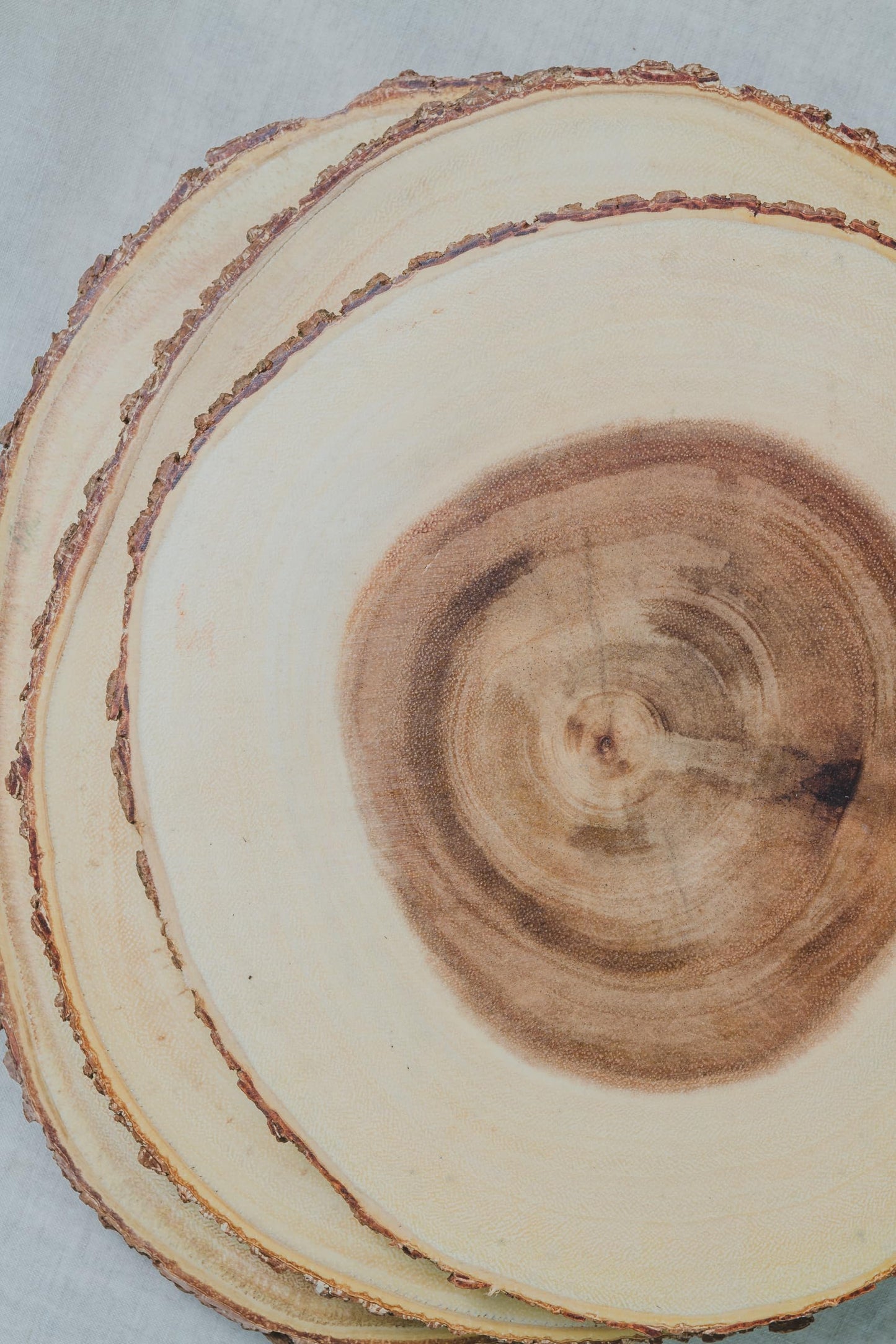Artesà Natural Wooden Tree Trunk Cheese Board/Serving Platter with Bark Edge, 21 cm (8") - Round