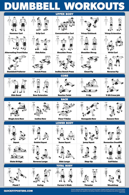 Palace Learning 3 Pack - Suspension Workout Posters - Volume 1 & 2 + Dumbbell Exercises Poster Set - Set of 3 Workout Charts (LAMINATED, 18" x 24")