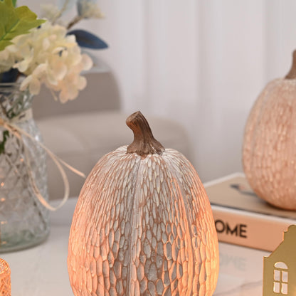 AOMOONOA Artificial Pumpkin Decor, Brown and White Decorative Pumpkins, Thanksgiving Resin Pumpkins Figurine Set of 2, Carved Pumpkin Statues for Rustic Fall Tabletop Home Decor, Harvest, Wedding
