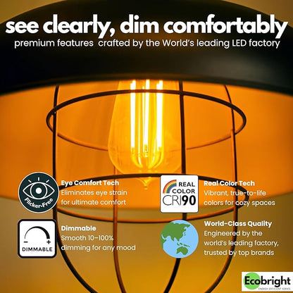 EcoBright ST19/ST64 LED Filament Bulbs, Dimmable, 60W Equivalent, 9W, 800 Lumens, 2700K Warm White, CRI90+, E26 Base, Flicker-Free, Edison Chandelier, ETL/FCC Certified (8 Pack)