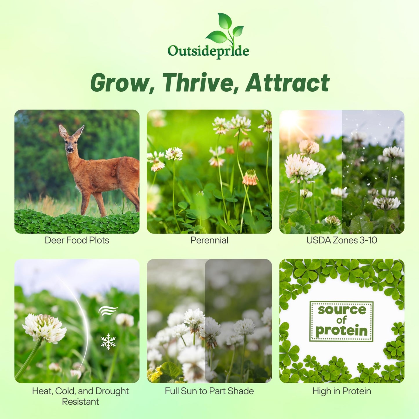 Outsidepride Perennial Clover King Seed Mix - 5 lbs Nitrocoated, Inoculated, Heat & Cold Tolerant, Alfalfa-Enhanced Food Plot Seeds for Deer & Wildlife, Ideal for Spring, Summer, & Winter Food Plots