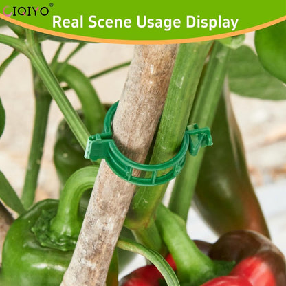 CIQIYO® 100 Pcs Plant Support Clips,Plastic Clips for Securing Plants,Tomato Vine Clips,Plant Fixing Clips,Garden Clips for Climbing Plants,Grape and Vine Vegetables (100, Green)