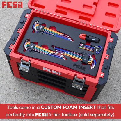 FESA Jumbo Allen Wrench Set - 29-Piece Torx, Standard & Metric Allen Wrenches with Micro to Large Ball Ends - Hex Keys with Folding Hex Tool, T-Handle & Storage Tray