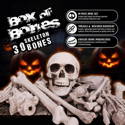 Kangaroo Halloween Skeleton Decor Bones 30 Pieces Bulk - Large Bag of Plastic Bones for Outdoor Yard Decoration - Scary Graveyard Fake Skulls and Bones