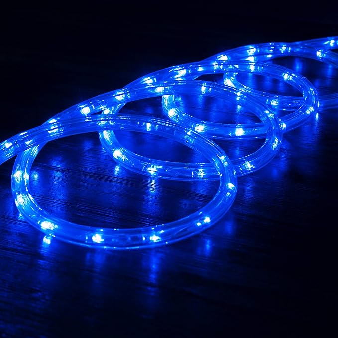 WYZworks 1116LEDs 100ft LED Outside Rope Lights, Outdoor ETL Certified Waterproof Permanent 360 Degree Light Emitting, Flexible Tube, Connectable, Christmas Palm Tree Exterior Landscape, Blue