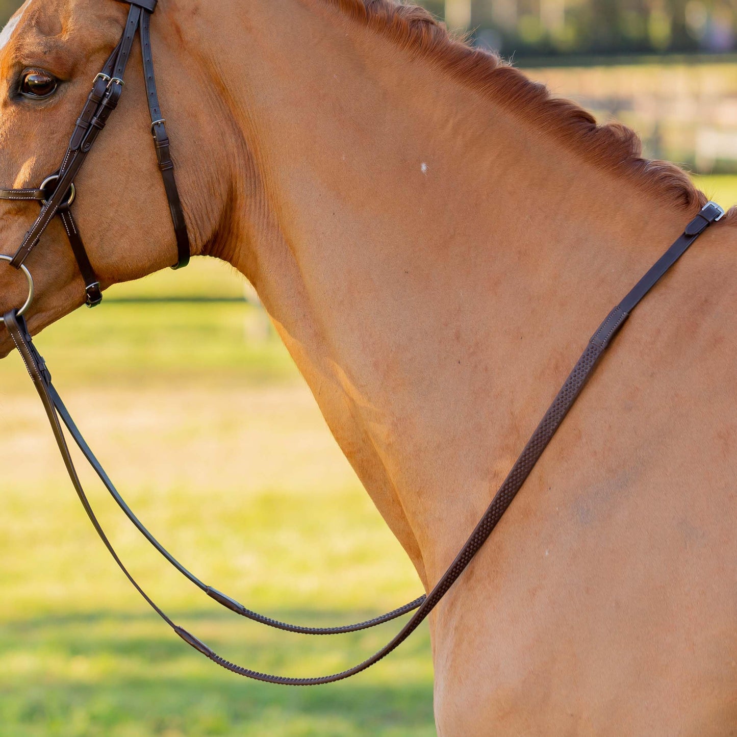 Equinavia Saga Adjustable Padded Fancy Stitched Figure 8 Bridle with Reins - Chocolate Brown - Warmblood