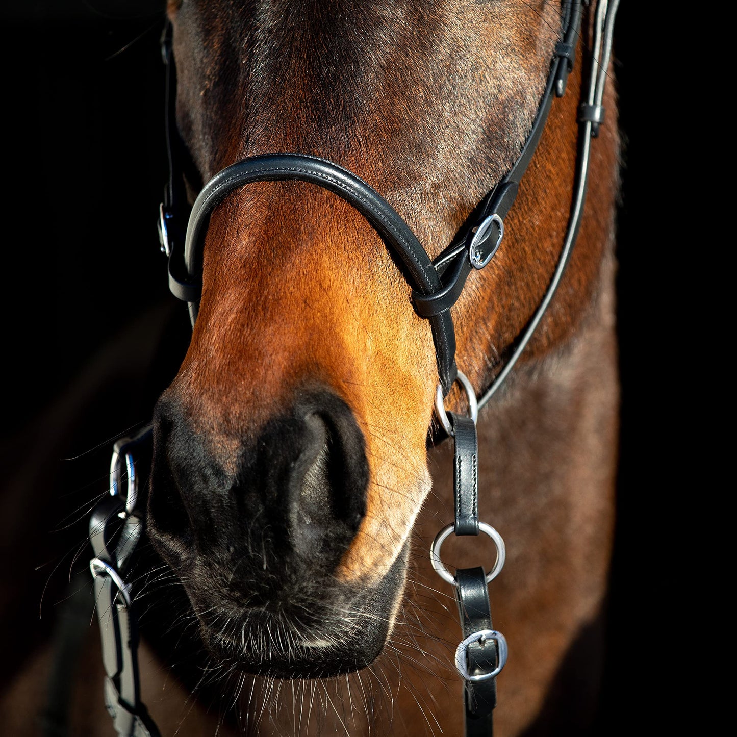 HORZE Genuine Leather Cross-Under Bitless Bridle | Web Reins Included - Black - Horse
