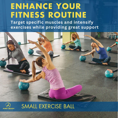 ProBody Pilates Small Exercise Ball - 9 Inch Workout Ball for Stability, Barre, Yoga, Core & Physical Therapy, Home Gym & Office Use (Blue)