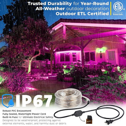 WYZworks 288LEDs 25ft LED Outside Rope Lights, Outdoor ETL Certified Waterproof Permanent 360 Degree Light Emitting, Flexible Tube, Connectable, Christmas Palm Tree Exterior Landscape, Pink