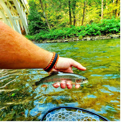 Aventik Fly Floating Fishing Net Carbon Fiber Landing Net Clear Rubber Ghost Net Catch & Release(Green)