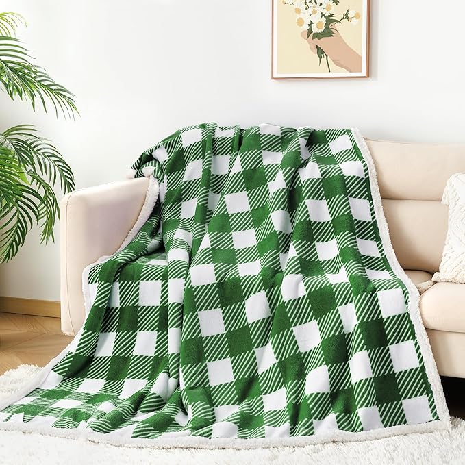 Touchat Sherpa Plaid Twin Blanket 60" X 70", Fuzzy Fluffy Soft Cozy Throw Blanket, Twin Size Plush Fleece Flannel Plush Microfiber Blanket for Couch Bed Sofa (GreenWhite)