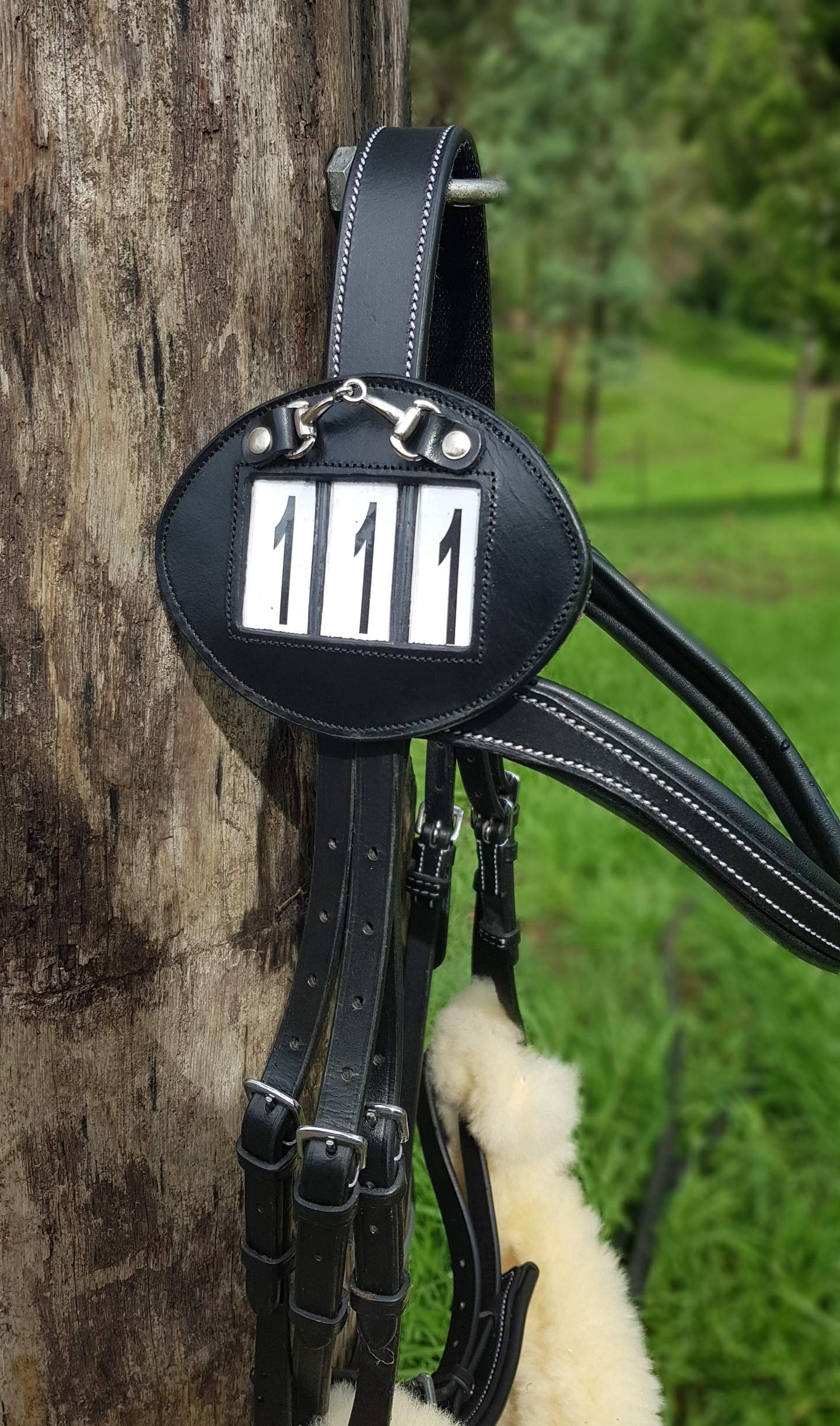 Echo Beach Equestrian Genuine Leather Number Holder Pair for Bridle or Saddle Pad. Oval with 3 Digit Easy Change Numbers. Built in Clip for Secure Attachment. 2 Number Holders Included