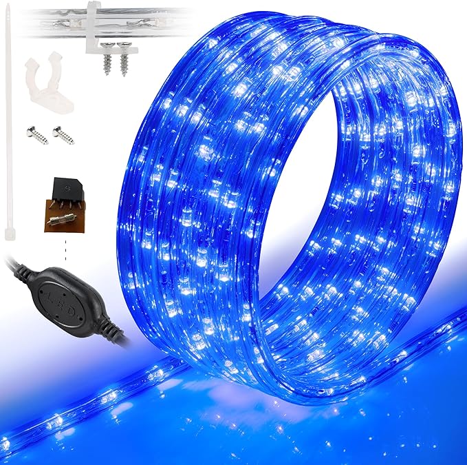 WYZworks 1116LEDs 100ft LED Outside Rope Lights, Outdoor ETL Certified Waterproof Permanent 360 Degree Light Emitting, Flexible Tube, Connectable, Christmas Palm Tree Exterior Landscape, Blue