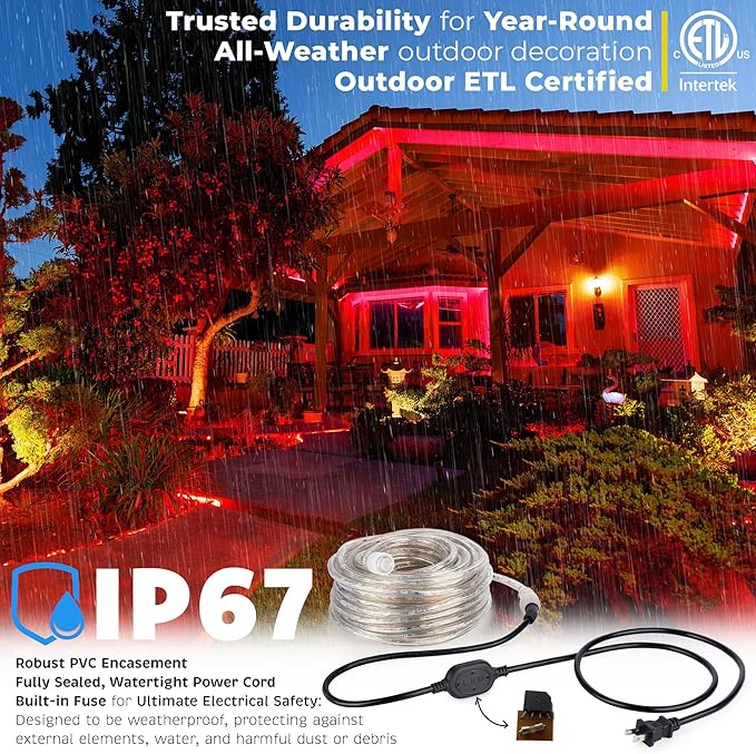 WYZworks 1116LEDs 100ft LED Outside Rope Lights, Outdoor ETL Certified Waterproof Permanent 360 Degree Light Emitting, Flexible Tube, Connectable, Christmas Palm Tree Exterior Landscape, Red