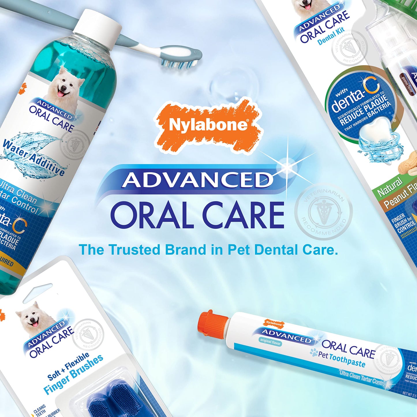 Nylabone Advanced Oral Care Dog Dental Kit Original Flavor 2.5 oz.