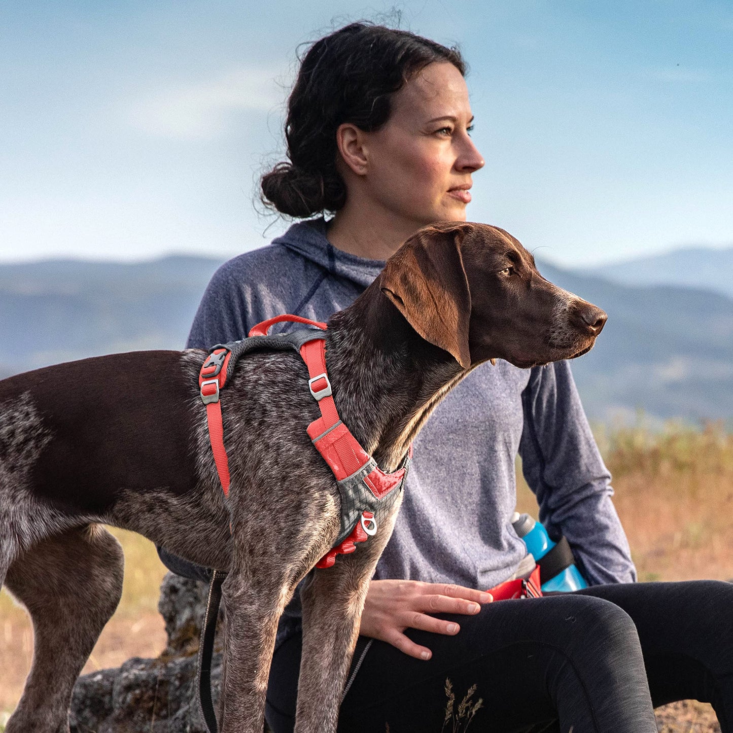 Kurgo Journey Air Dog Harness, Vest Harnesses for Dogs, Pet Hiking Harness for Running & Walking, Reflective, Padded, Includes Control Handle, No Pull Front Clip (Coral, Medium)
