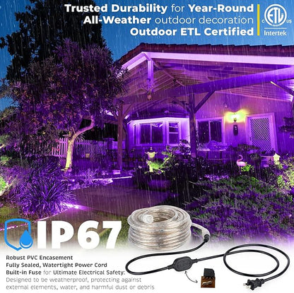 WYZworks 1656LEDs 150ft LED Outside Rope Lights, Outdoor ETL Certified Waterproof Permanent 360 Degree Light Emitting, Flexible Tube, Connectable, Christmas Palm Tree Exterior Landscape, Purple