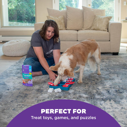 Outward Hound by Nina Ottosson Puzzle Bitez USA Made Dog Treats, Pumpkin Flavor, Bite-Sized Training Reward and Interactive Puzzle Toy Treats, 7.5oz