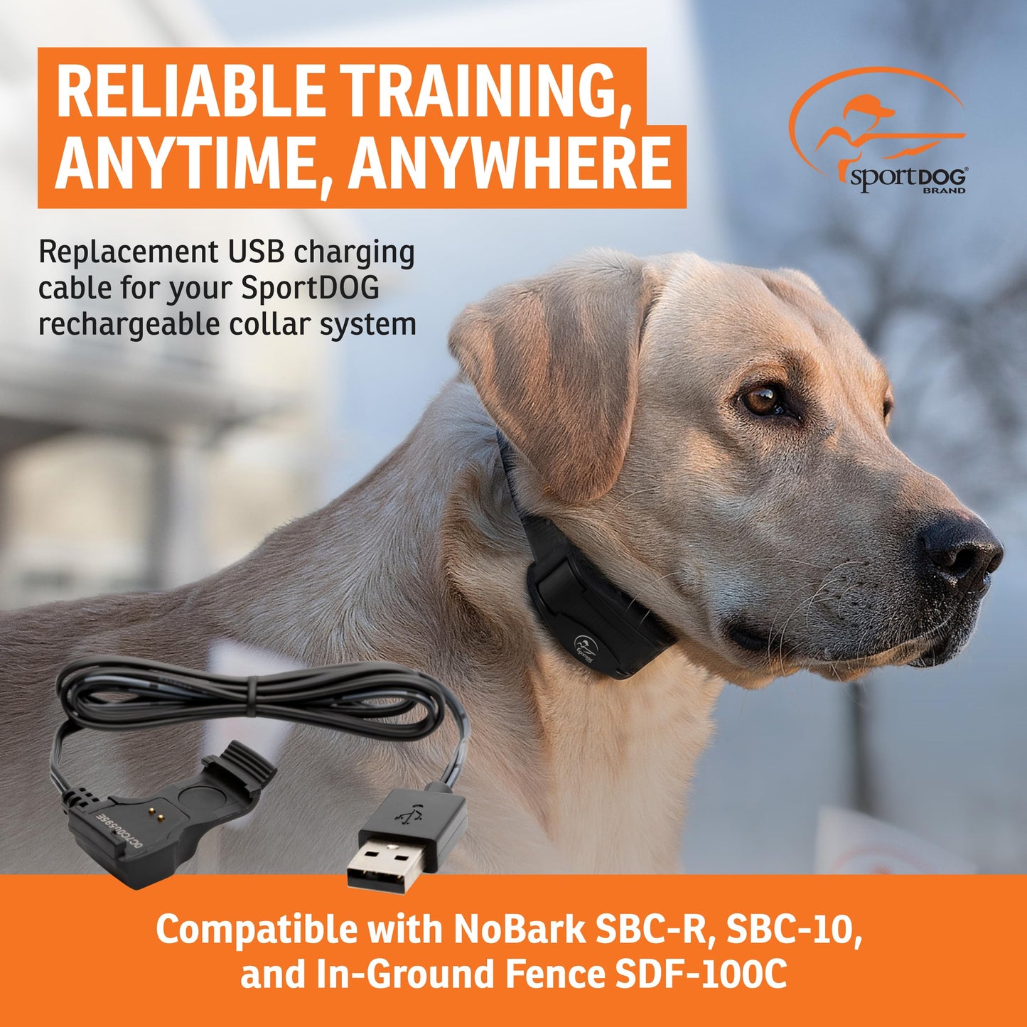 SportDOG Brand In-Ground Fence (SDF-100C) and NoBark SBC-R and SBC-10 Replacement USB Cable - USB Only
