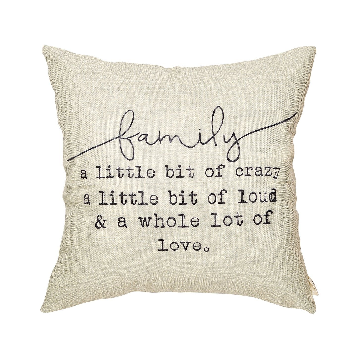 Fjfz Family a Little Bit of Crazy Decorative Throw Pillow Covers, Farmhouse Quote Home Rustic Decorations, Christmas Inspirational Gifts Winter Cotton Linen Cushion Case Decors for Sofa Couch 18 × 18