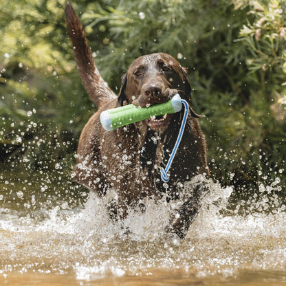 Chuckit! Amphibious Bumper Floating Fetch Dog Toy For Waterplay, Small For Dogs Up To 60 lb, 1.62"L x 8.5” H x 3.5" W, Assorted
