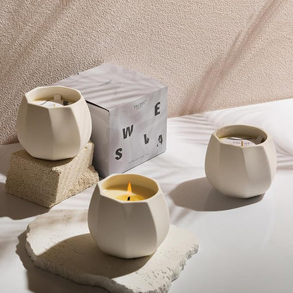 Scented Candle for Home Scented, Luxury Ceramic Candle Jar for Women & Men, Natural Soy Candle for Home Décor, Coconut & Tuberose Blossom