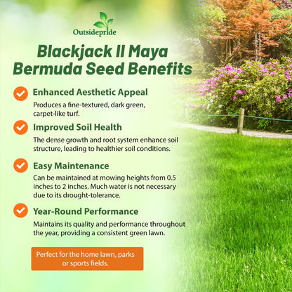 Outsidepride Maya (Blackjack II) Bermuda Grass Seed - 10 lbs Warm Season, Drought Tolerant, Fast Growing, Fine-Textured Bermuda Grass Seeds for Lawn, Parks, Golf Courses & Sports Fields