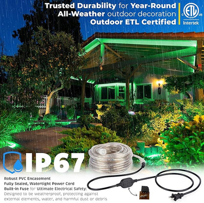 WYZworks 1116LEDs 100ft LED Outside Rope Lights, Outdoor ETL Certified Waterproof Permanent 360 Degree Light Emitting, Flexible Tube, Connectable, Christmas Palm Tree Exterior Landscape, Green
