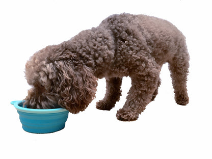 Sale Collapsible Silicone Water Travel Bowl with Clip for Dog and Cat, Portable and Durable Pop-up Feeder for Convenient On-The-go Feeding Size: Large (5 Cups) Grey
