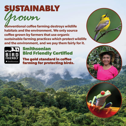 Low Acid Organic Coffee – Whole Bean, Mold-Free & Stomach Friendly by Java Planet, Colombian Single Origin Coffee, Medium Dark Roast, Smooth Full Flavored, 1LB Bag